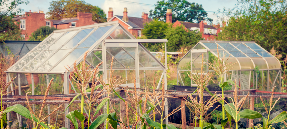 オンライン相談会